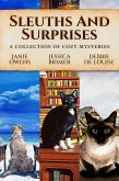 Sleuths and Surprises (eBook, ePUB)