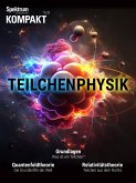 Spektrum Kompakt - Teilchenphysik (eBook, PDF)
