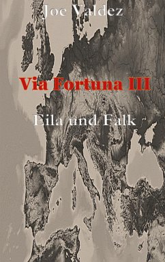 Via Fortuna III (eBook, ePUB) - Valdez, Joe