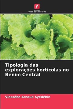 Tipologia das explorações hortícolas no Benim Central - Ayédéhin, Viassého Arnaud