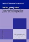 Penado, pena y delito : una aproximación a las comprensiones punitivas de la población penitenciaria