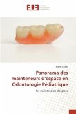 Panorama des mainteneurs d¿espace en Odontologie Pédiatrique