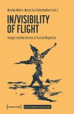 In/Visibility of Flight (eBook, PDF)