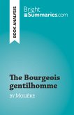 The Bourgeois gentilhomme (eBook, ePUB)
