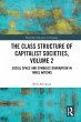 The Class Structure of Capitalist... - Bild 1