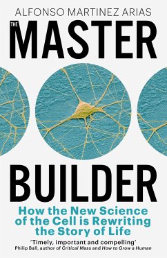 The Master Builder - Arias, Alfonso Martinez