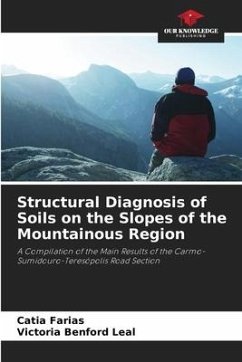 Structural Diagnosis of Soils on the Slopes of the Mountainous Region - Farias, Catia;Benford Leal, Victoria