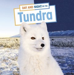 Day and Night on the Tundra - Boone, Mary