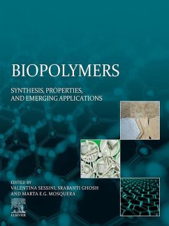 Cover Biopolymers (eBook, ePUB)