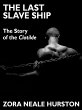 The Last Slave Ship (eBook, ePUB) - Bild 1