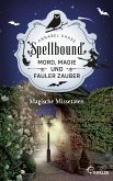 Magische Missetaten / Spellbound Bd.4 (eBook, ePUB)