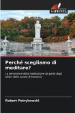 Perché scegliamo di meditare?