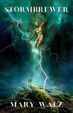 Cover Stormbrewer (eBook, ePUB)