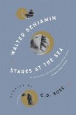 Walter Benjamin Stares at the Sea (eBook, ePUB)