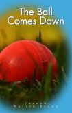 The Ball Comes Down (Joey's Adventures, #2) (eBook, ePUB)
