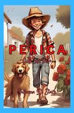 Perica ide na selo (eBook, ePUB)