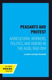 Peasants and Protest (eBook, ePUB)