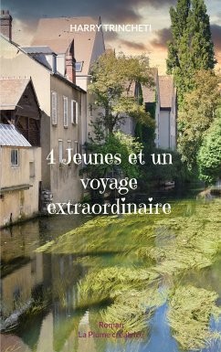 4 Jeunes et un voyage extraordinaire (eBook, ePUB)