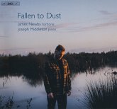 Fallen To Dust