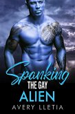 Spanking The Gay Alien (eBook, ePUB)