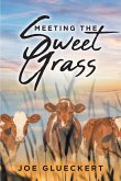 MEETING THE SWEET GRASS (eBook, ePUB)