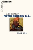 Pieter Bruegel d.Ä. (eBook, PDF)