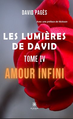 Les lumières de David - Tome 4 (eBook, ePUB) - Pagès, David