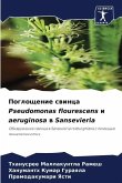 Pogloschenie swinca Pseudomonas flourescens i aeruginosa w Sansevieria