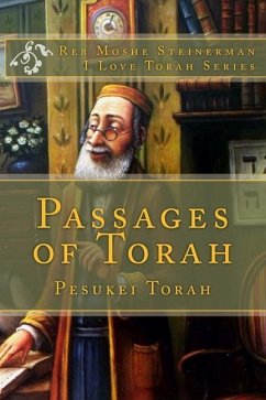 Passages of Torah - Steinerman, Moshe