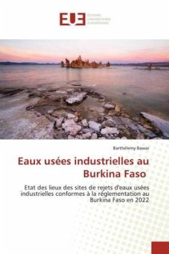 Eaux usées industrielles au Burkina Faso - Bawar, Barthélemy