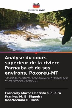 Analyse du cours supérieur de la rivière Parnaíba et de ses environs, Poxoréu-MT - Batista Siqueira, Francioly Marcos;B. Siqueira, Frankes M.;B. Rosa, Deocleciano