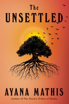 The Unsettled - Mathis, Ayana