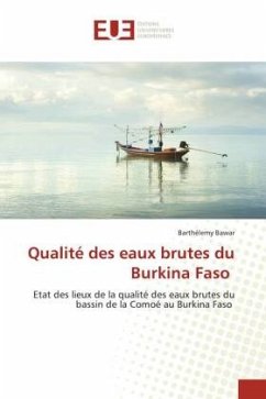 Qualité des eaux brutes du Burkina Faso - Bawar, Barthélemy