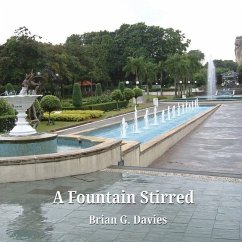 A Fountain Stirred - Davies, Brian G