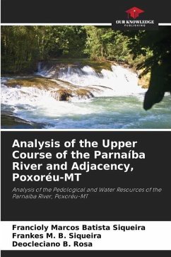 Analysis of the Upper Course of the Parnaíba River and Adjacency, Poxoréu-MT - Batista Siqueira, Francioly Marcos;B. Siqueira, Frankes M.;B. Rosa, Deocleciano