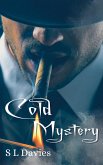 Cold Mystery (Cold Case, #2) (eBook, ePUB)