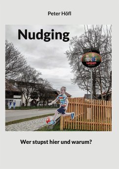 Nudging (eBook, ePUB) - Höfl, Peter