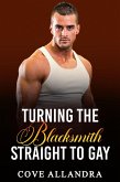 Turning The Blacksmith Straight To Gay (eBook, ePUB)