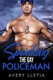 Spanking The Gay Policeman (eBook, ePUB)