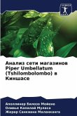 Analiz seti magazinow Piper Umbellatum (Tshilombolombo) w Kinshase
