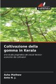 Coltivazione della gomma in Kerala