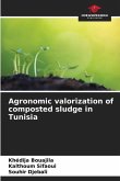 Agronomic valorization of composted sludge in Tunisia