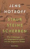 Staub, Steine, Scherben (eBook, ePUB)
