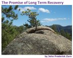 The Promise of Long Term Recovery (eBook, ePUB)