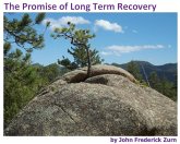 The Promise of Long Term Recovery (eBook, ePUB) The Promise of Long Term Recovery (eBook, ePUB)