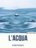 L'acqua (eBook, ePUB)