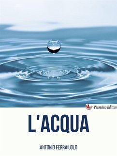 L'acqua (eBook, ePUB) - Ferraiuolo, Antonio