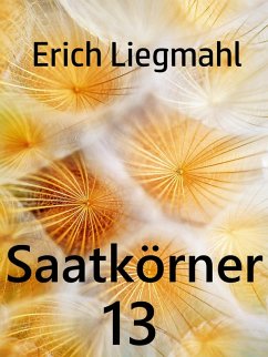 Saatkörner 13 (eBook, ePUB)