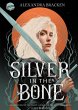 Silver in the Bone / Die Hollower-Saga... - Bild 1