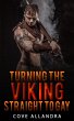Turning The Viking Straight To Gay... - Bild 1